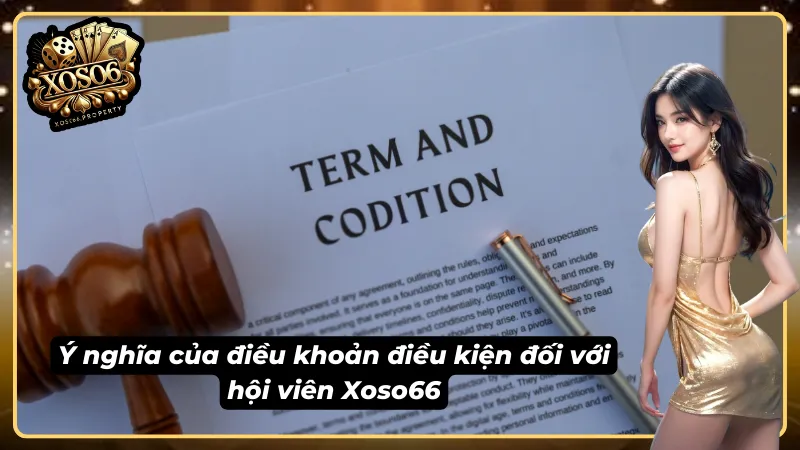 Tổng quan lý do điều khoản điều kiện lại quan trọng với hội viên