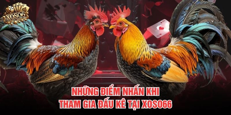 Những điểm nhấn khi tham gia đấu kê tại Xoso66