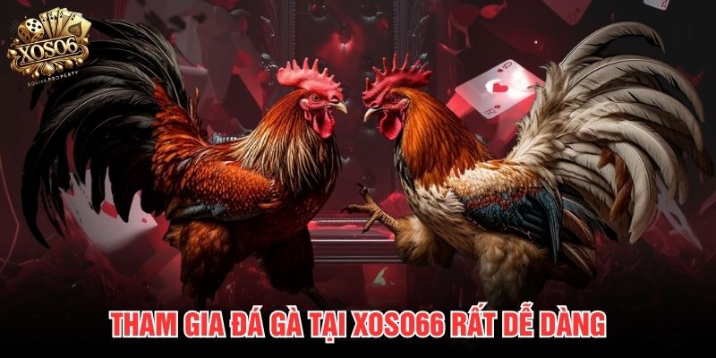 Tham gia đá gà tại Xoso66 rất dễ dàng