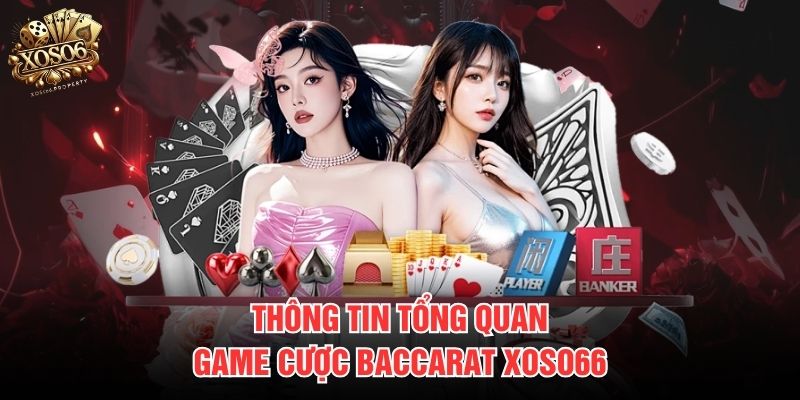 Thông tin tổng quan game cược Baccarat Xoso66